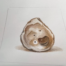 Load image into Gallery viewer, Little Oyster Original
